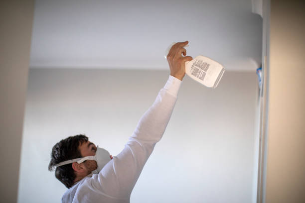 Best Kitchen Mold Remediation in Slater, MO
